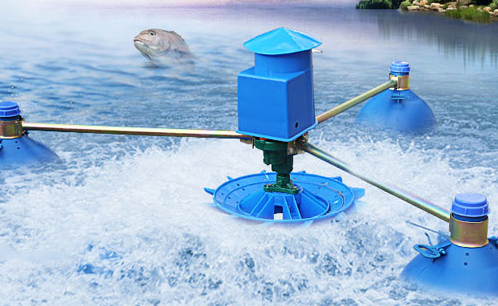 水產養殖 水產養殖